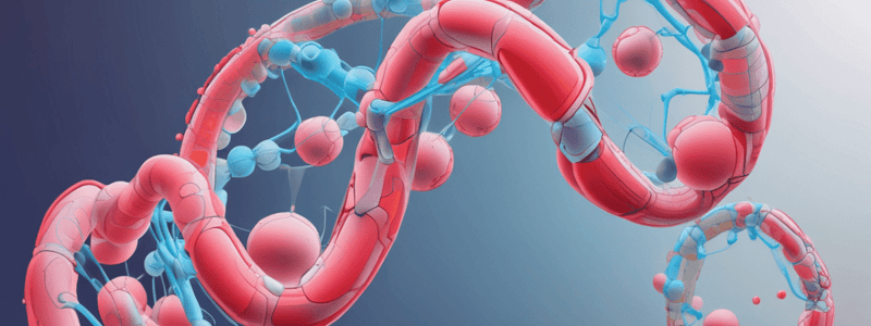 Lipoprotein Lipaz ve Apolipoprotein Funktionları