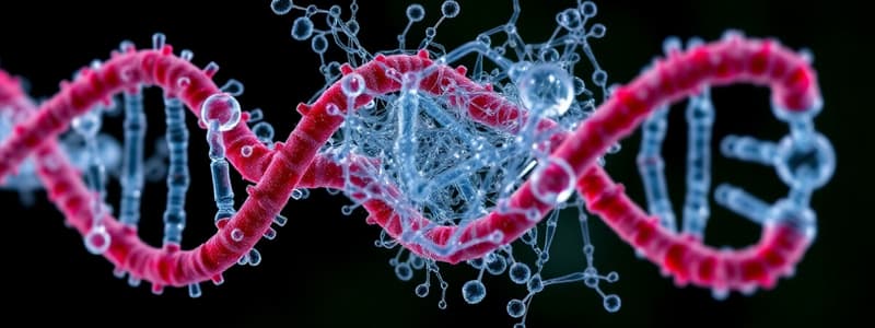 DNA Mutation Causes