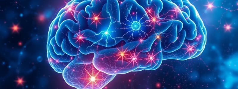 Neuroscience Quiz: Brain Functions and Mechanisms