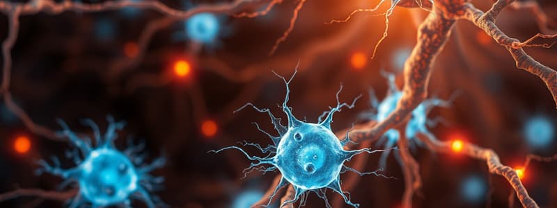 Neuroglial Cells Classification