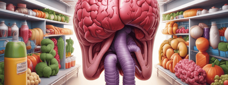 Digestive System Functions Quiz