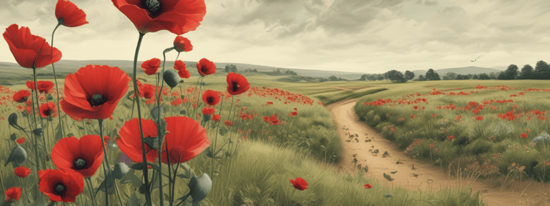 Sylvia Plath's Poppies in July Poem Analysis