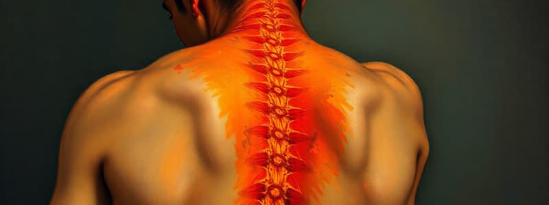 Understanding Nociceptive and Neuropathic Pain