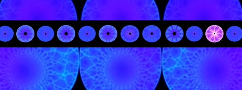 Cell Biology: Mitosis and Interphase Overview