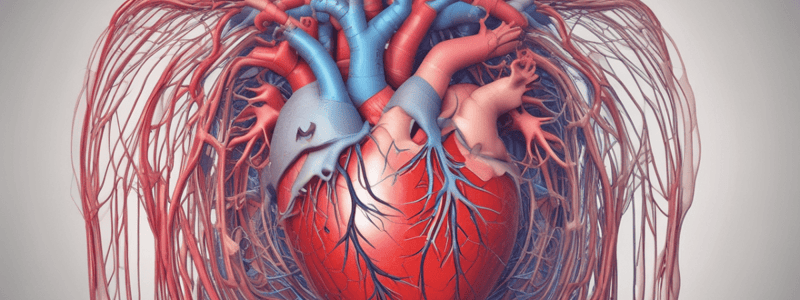 Función Cardiaca y Estructura del Corazón