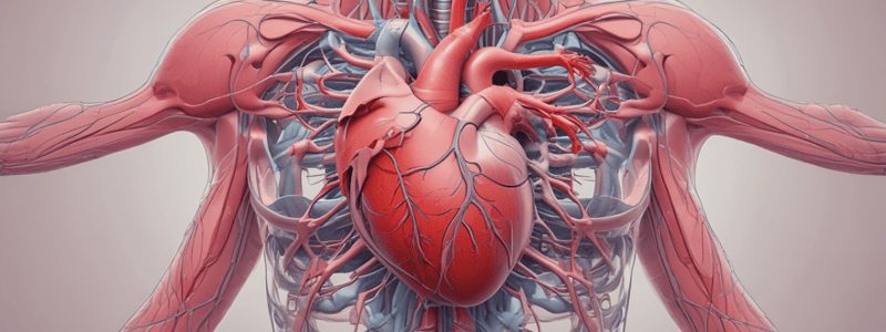 SAQ - Heart's Conduction System and Blood Flow