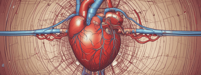 The Heart's Structure and Function