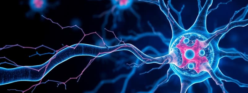 Cell Biology Signal Transduction Quiz