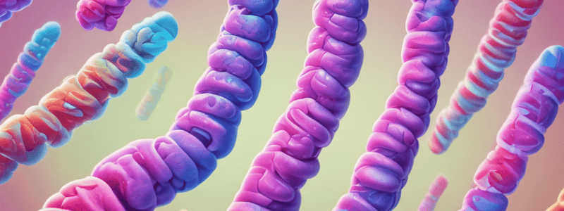 Chromosome Homology