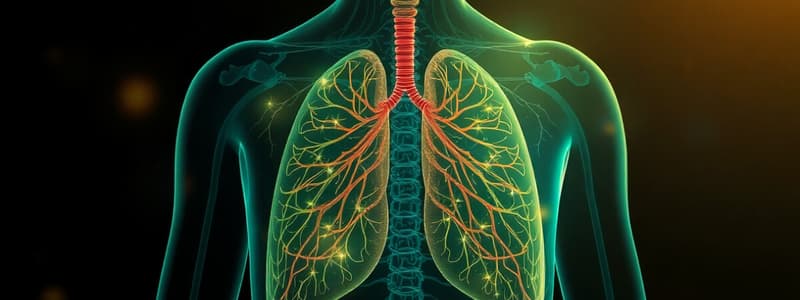 Respiratory System Homeostasis