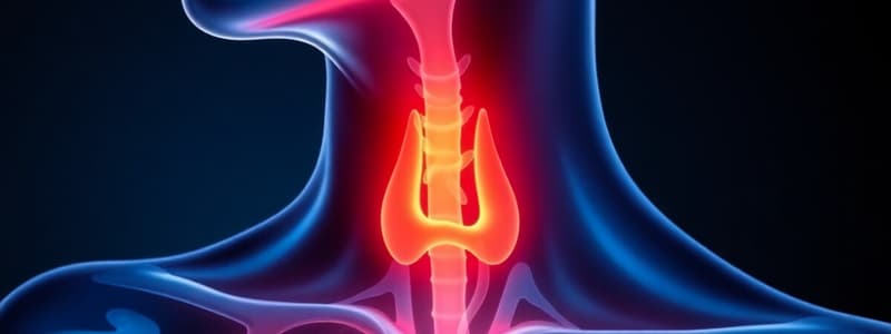 Thyroid Gland and Hormones