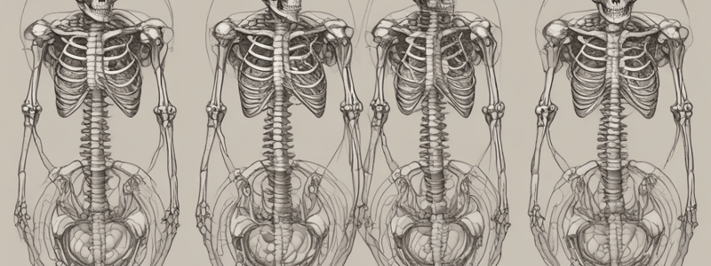 Development of Appendicular Skeleton