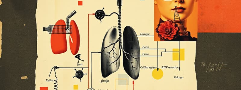 Cellular Respiration and Glycolysis