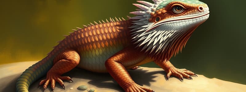 Scaly Beasts Information