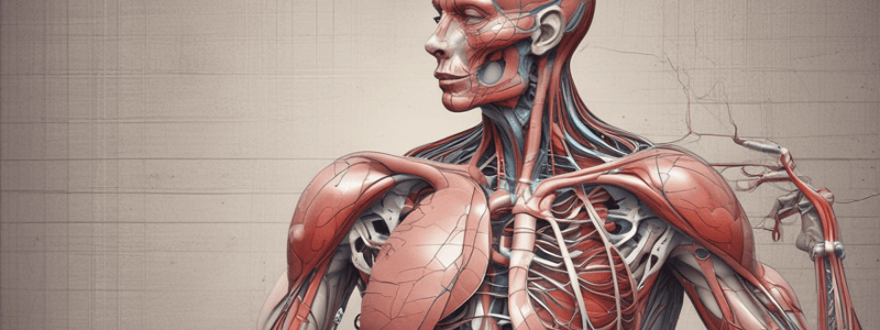 Physiology of the Cardiovascular System