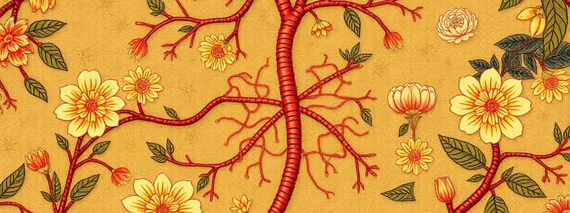 Cellular Respiration Basics