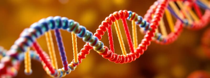 DNA Replication: Eukaryotic vs. Prokaryotic