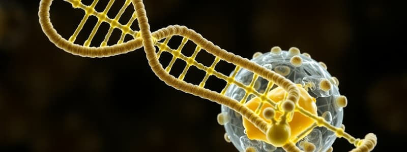 Overview of DNA Replication