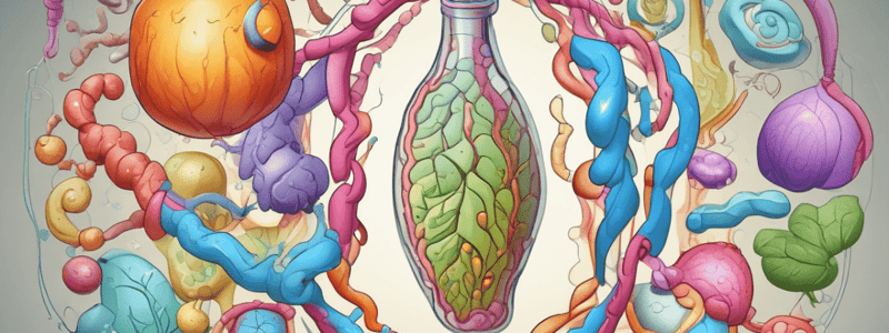 Lipid Metabolism and Fatty Acid Synthesis