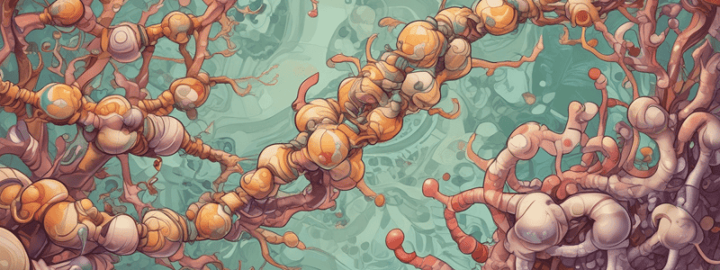 TP 7 : Phosphatase Alcaline