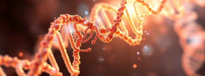 RNA Structure and Function