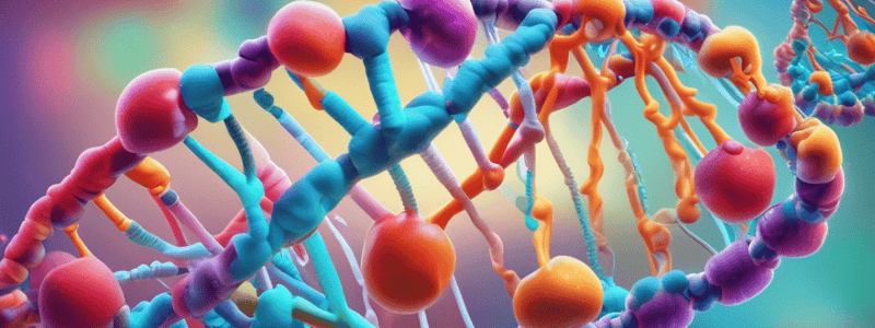 Nucleic Acids: DNA and RNA Structure