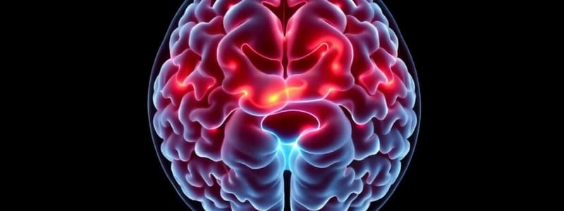 Transient Ischemic Attack and Stroke Overview