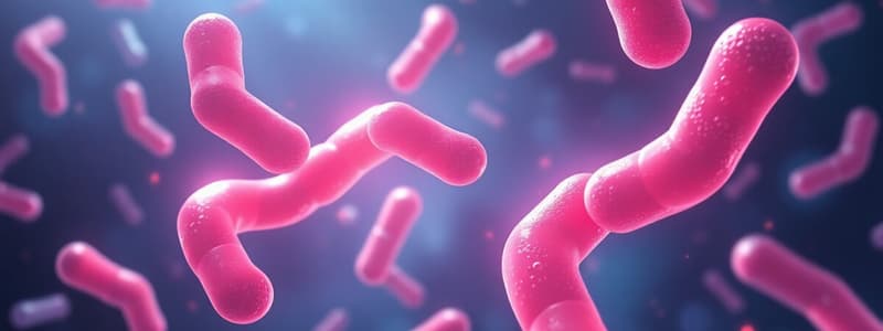 Carbapenems: Spectrum, Resistance, and Side Effects