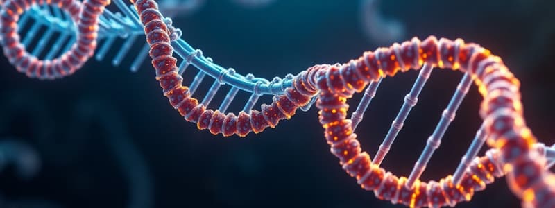 RNA Structure and Function