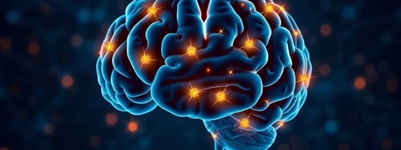 Cognitive Control and Brain Functions