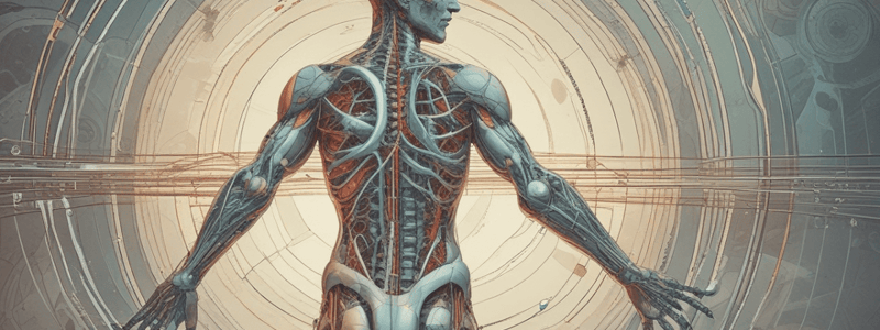 Anatomy of the Orbit Multiple Choice Quiz