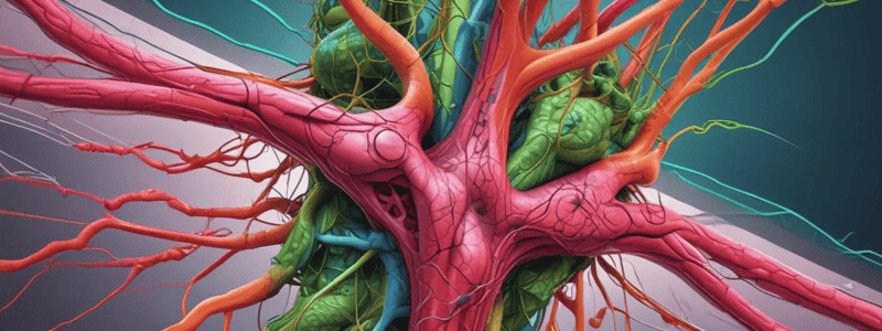 Lymphatic System Overview