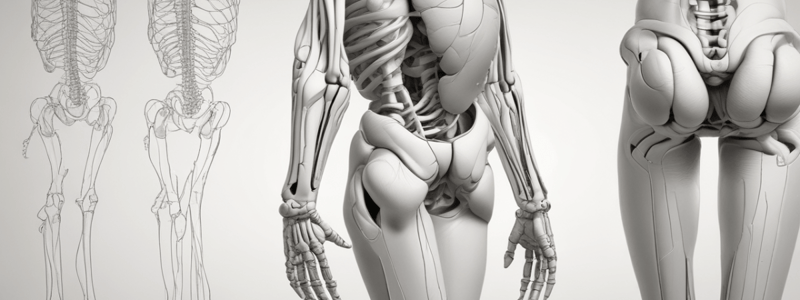 BMS Anatomy Lecture 13: Hip and Knee Joints