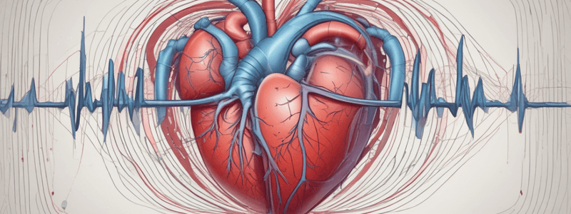 Heart Physiology and Cardiac Output