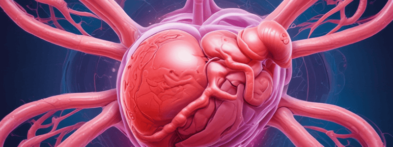 Ectopic Pregnancy and Placenta Previa: Causes, Diagnosis, and Treatment