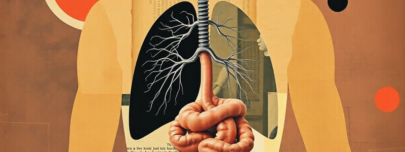 Digestive and Respiratory Systems