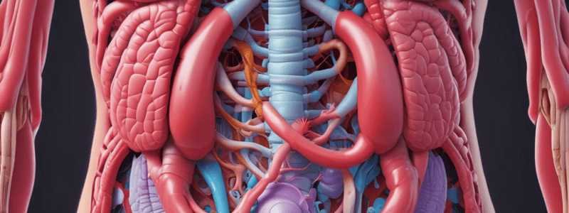 Digestive System Chapter 23: Overview Quiz