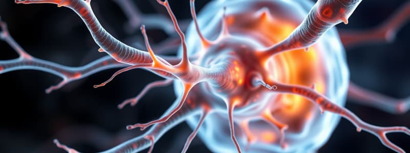 Neuroscience Overview: Nerve Functions