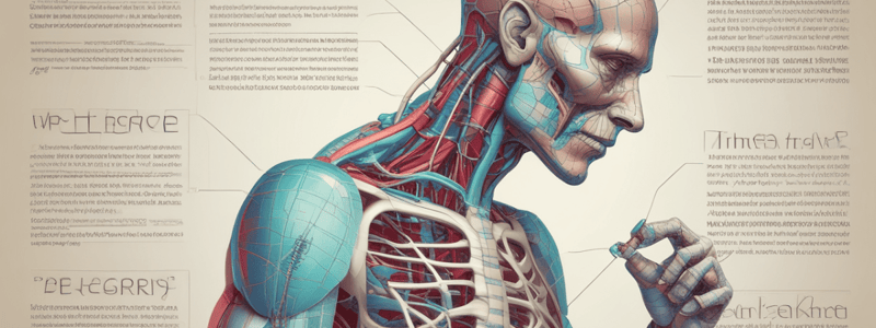 Medical Terminology Quiz