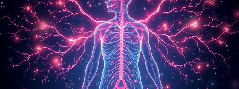 The Autonomic Nervous System Overview