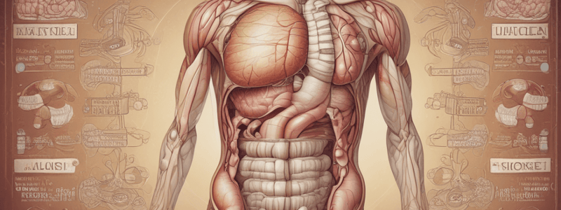 Gastrointestinal Pharmacology: Stomach Anatomy and Function