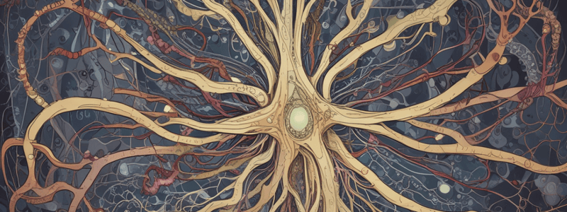 Autonomic Nervous System and Hormones