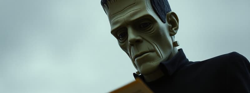 Frankenstein's Pursuit of Revenge