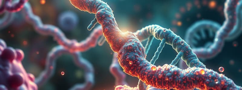 Biology Chapter 17: From Gene to Protein