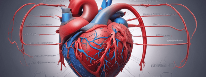 Cardiac Cycle Overview