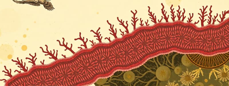 Fundamentals of Human Biology: Cell Structure