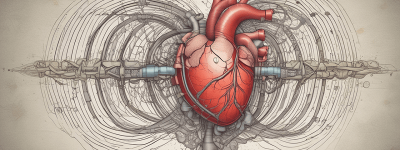 Physiology exam prep 2