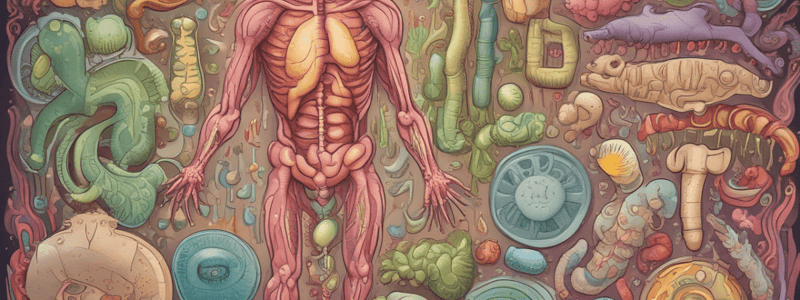 Protein Digestion Enzymes