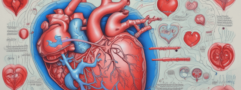 Congenital Heart Disease NRAN 80413 Spring 2024 Outline