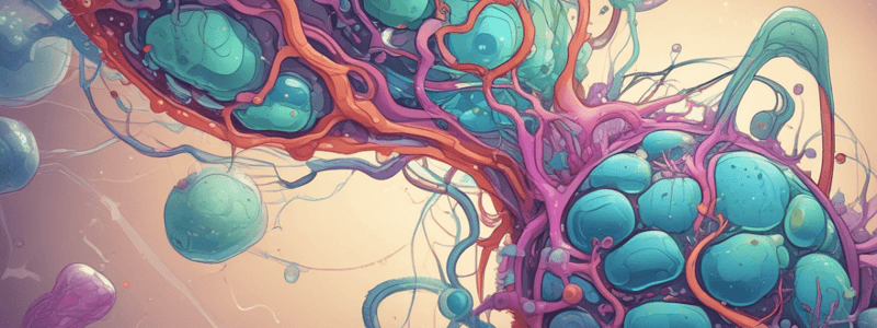 Prokaryotes vs Eukaryotes Cells